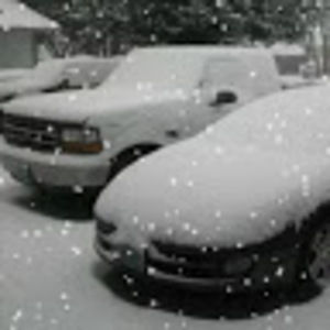 Meet your Posher, Donna